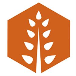 Sales Leadership Academy