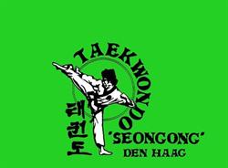Taekwondo Seongong