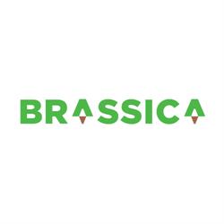 Brassica Trade BV