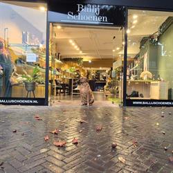 Ballij Schoenen