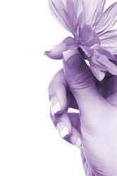 La belle Fleur Nails