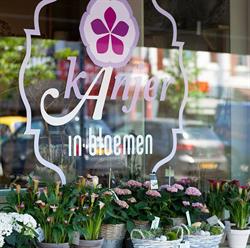 kAnjer in Bloemen
