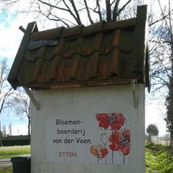 Bloemenboerderij Etten