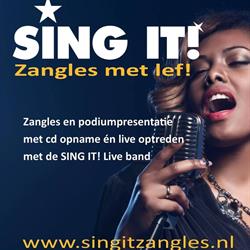 SING IT! Zangles