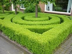 Haag-Planten.nl