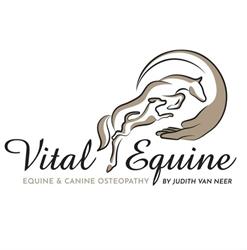 Vital Equine I Judith van Neer I Paardenosteopaat EDO & Hondenosteopaat