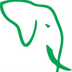 Rugbyveld ESRC The Elephants