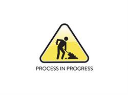 PROCESS IN PROGRESS