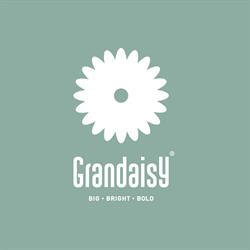 Grandaisy® (Argyranthemum)