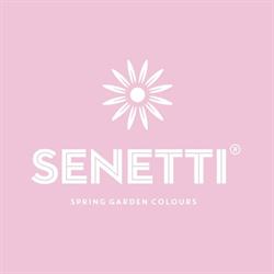 Senetti® (Pericallis)