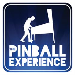 The Pinball Experience