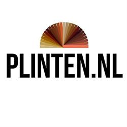 Plinten