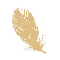 The Feather store