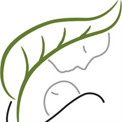 Mawaho