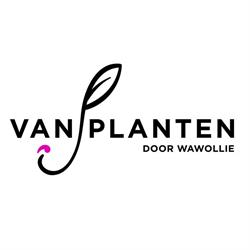 VanPlanten