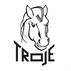 Kubbvereniging Troje (Training)
