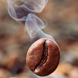 CoffeeRoastery Oud West