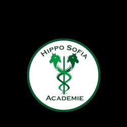 Hippo Sofia Academie