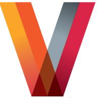 De Viske ICT B.V.