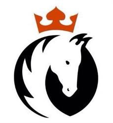 Paardenkliniek Hollands Kroon