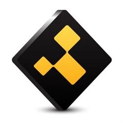 The Yellow Web