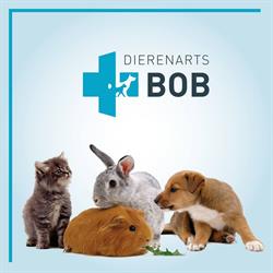 Dierenarts Bob