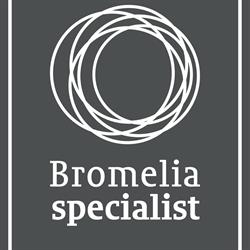 Bromelia Specialist B.V.