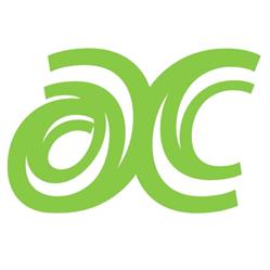 Actief College