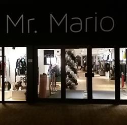 Mr Mario