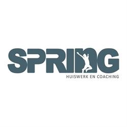 Spring Huiswerk en Coaching