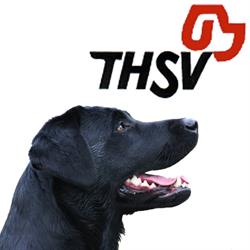 Twentse Hondensport Vereniging