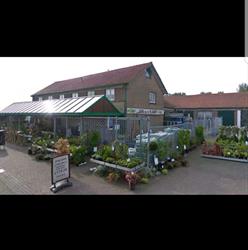 Duivenwereld XL