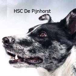 HSC de Pijnhorst