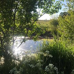 Buitenplaats de Broekhuizen