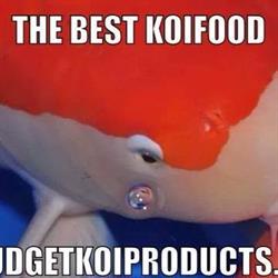 budgetkoiproducts