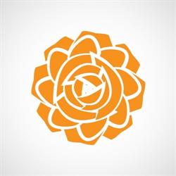 Dutch Rose Media