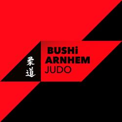 Budovereniging Bushi Arnhem
