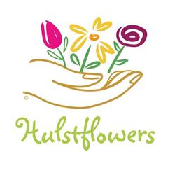 Hulstflowers