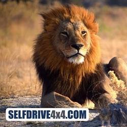 Selfdrive4x4.com