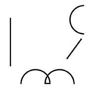 Rib