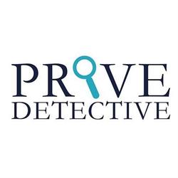 De Privé Detective