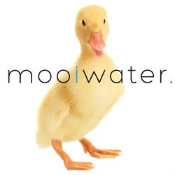mooiwater