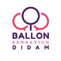 Ballon Sensation Didam