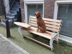 Kien met Hout