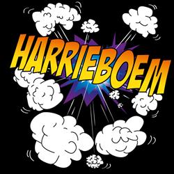 Harrieboem vuurwerk