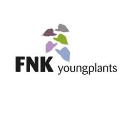 FNK YoungPlants BV