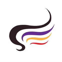 L&S Hairstyling