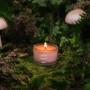 Scented Candles