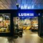 Frontview Lush