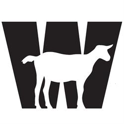 Witte Geit